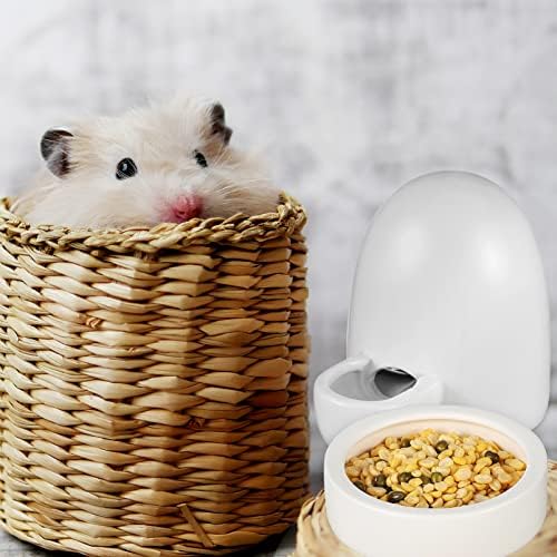 Yardwe 3 adet Hamster Kirpi Besleyiciler Chinchilla Küçük Kobay mama besleyici Su Besleme Kabı Seti