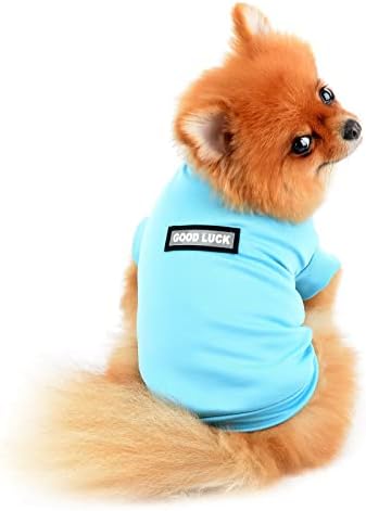 PAİDEFUL Küçük Köpek Tank Top Hızlı Kuru Bahar Yaz Kediler Giyim Yumuşak Rahat Hafif Kostüm, mavi, XXL