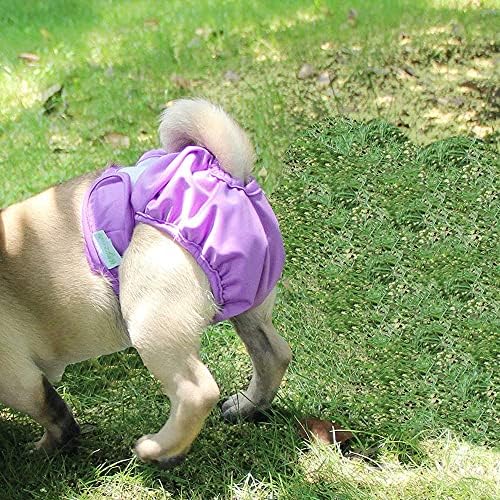TAZSJG Pet Fizyolojik Pantolon Bezi Hijyen Su Geçirmez Pantolon Yıkanabilir İç Çamaşırı Şort İç Çamaşırı Pet Pantolon (Renk: Gri, Boyut: