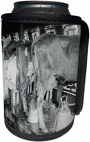 3dRose Sihirli Fener Slayt Süt Süt Ahırları Wisconsin Tarım-Can Soğutucu Şişe Sarma (cc_359664_1)