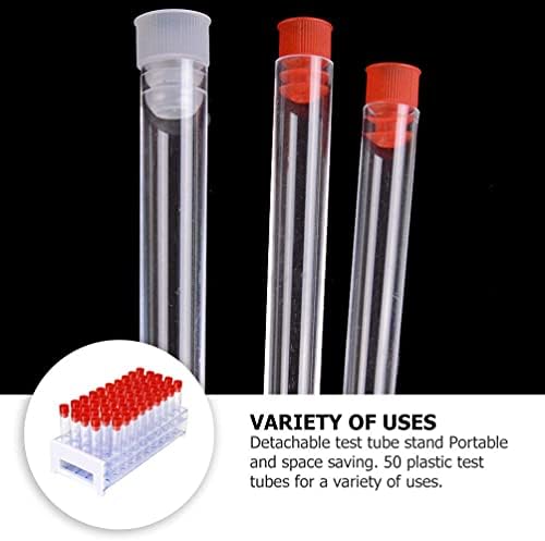 ZAPION 51 adet Şeffaf Plastik test tüpü test tüpü tutucu Tutucu Bilimsel Deneyler için Okul Laboratuvar Malzemeleri