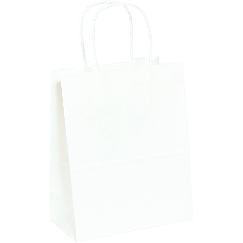KUTU ABD BBGS103W Kağıt Alışveriş Çantaları, 8 x 4 1/2 x 10 1/4, Beyaz (250'li Paket)