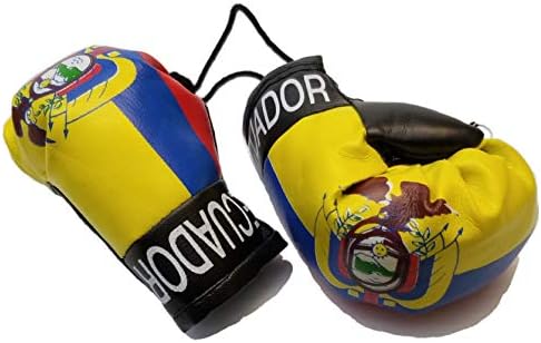 BUNFİREs Ekvador Bayrağı Mini Afiş boks eldiveni Asmak Dikiz Aynası Ekvador Ülke Bayrağı Afiş