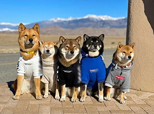 ChoChoCho Şık Köpek Hoodie Köpek Giysileri Streetwear Pamuk Kazak moda Kıyafet Köpekler Kediler için Köpek Küçük Orta Büyük (2XL, siyah)